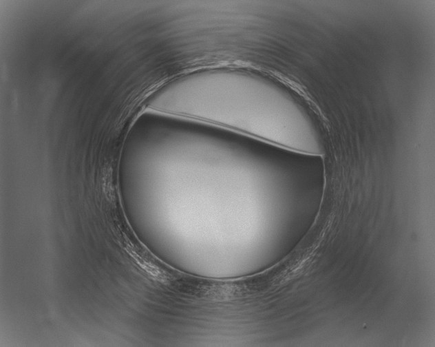 X0000054380881200507290854