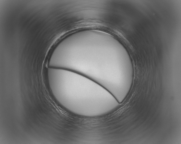 X0000054380883200507290854