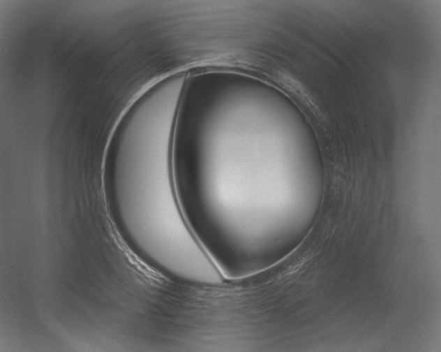X0000054380884200507290854
