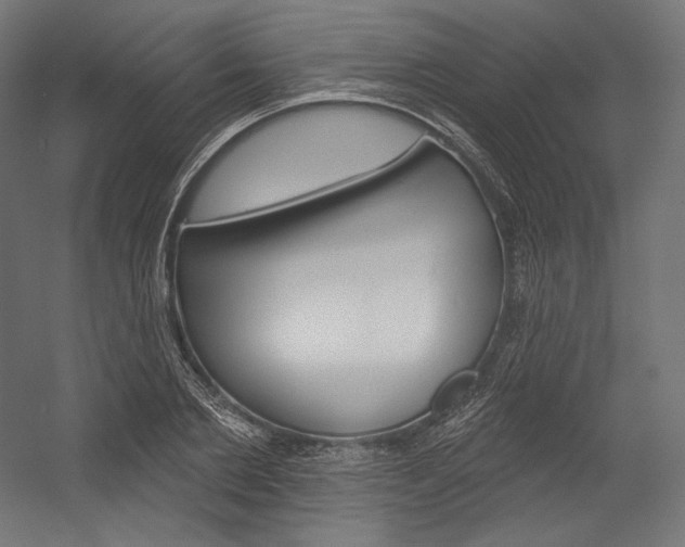 X0000054380885200507290854
