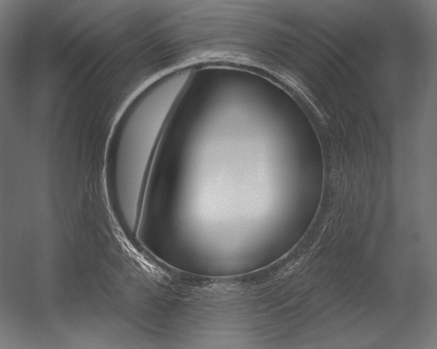 X0000054380888200507290854