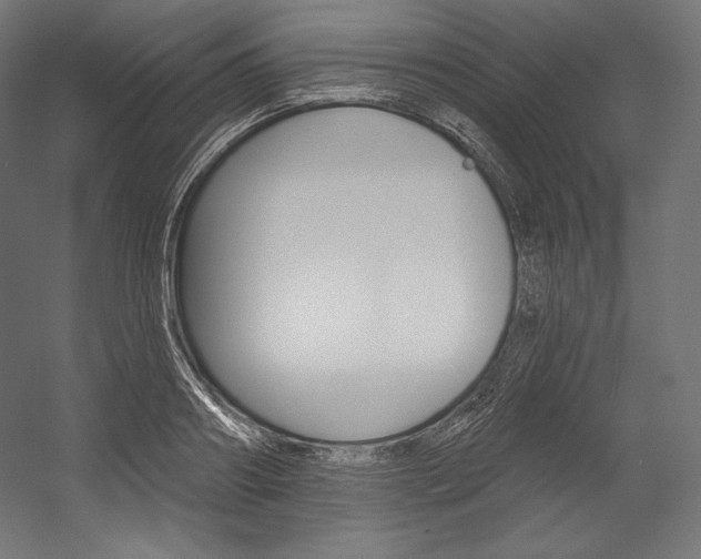 X0000054380890200507290854