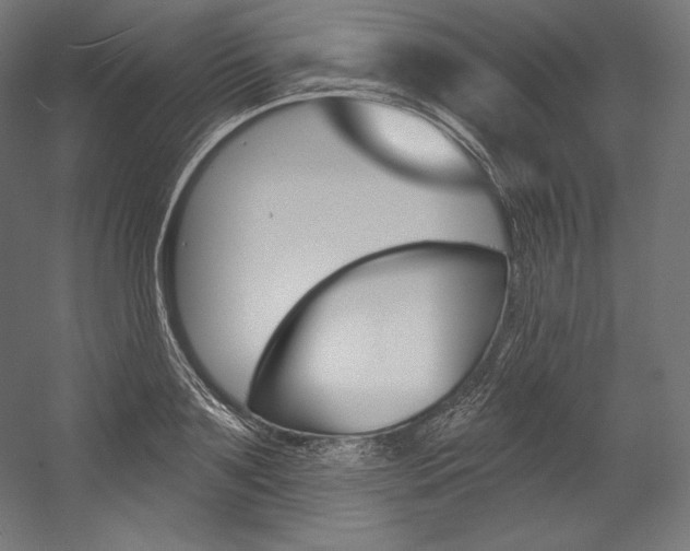 X0000054380891200507290854
