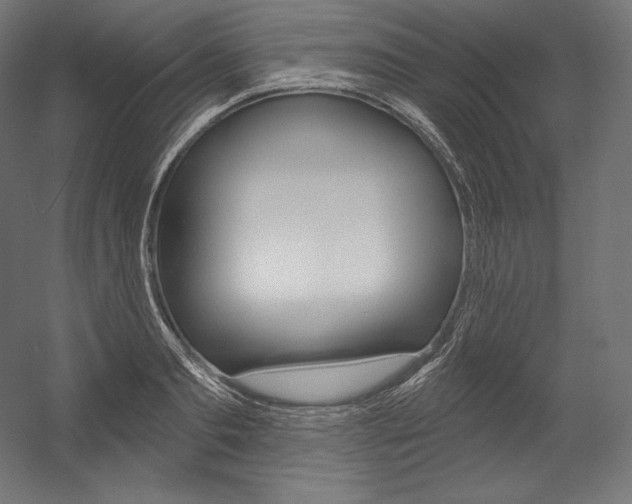 X0000054380893200507290854