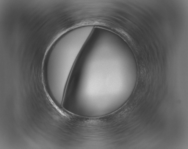 X0000054380894200507290854