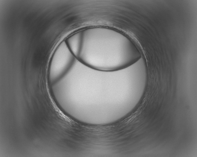 X0000054380895200507290854