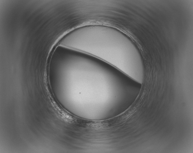 X0000054380896200507290854
