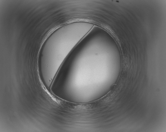 X0000054380898200507290854