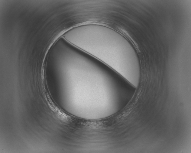 X0000054380900200507290854