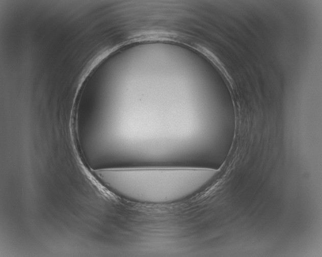 X0000054380901200507290854