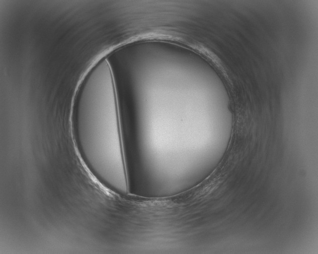 X0000054380902200507290854