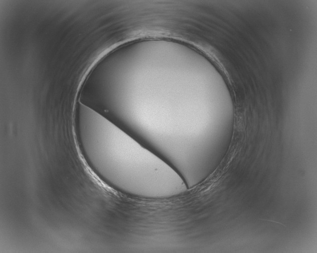 X0000054380903200507290854