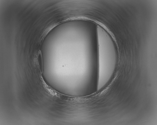 X0000054380905200507290854