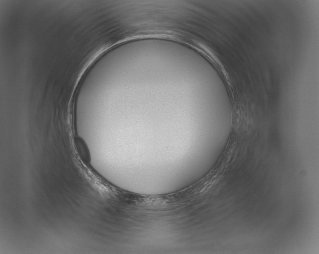 X0000054380907200507290854