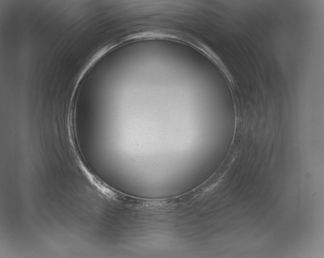 X0000054380909200507290853