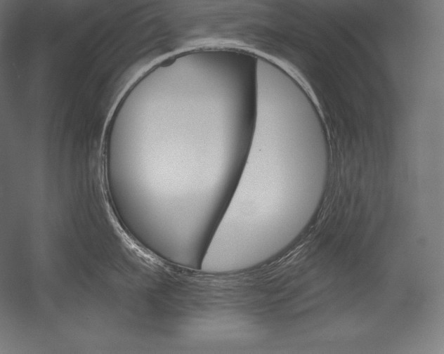 X0000054380911200507290853
