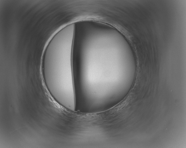 X0000054380912200507290853