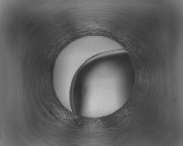 X0000054380916200507290853