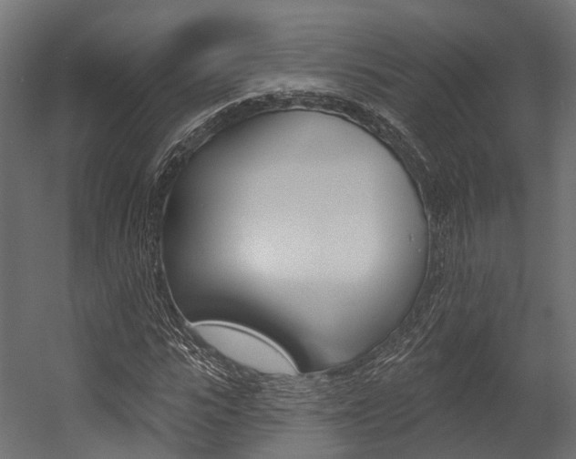 X0000054380919200507290853