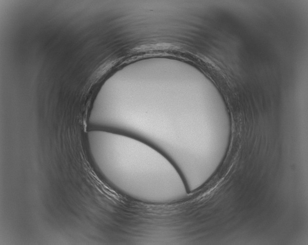 X0000054380921200507290853