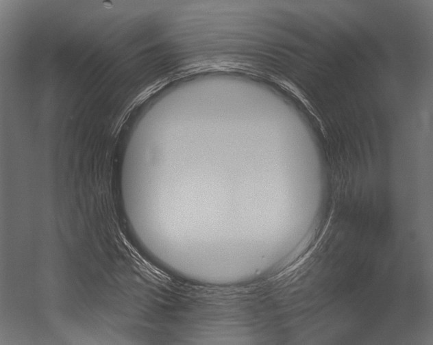 X0000054380922200507290853