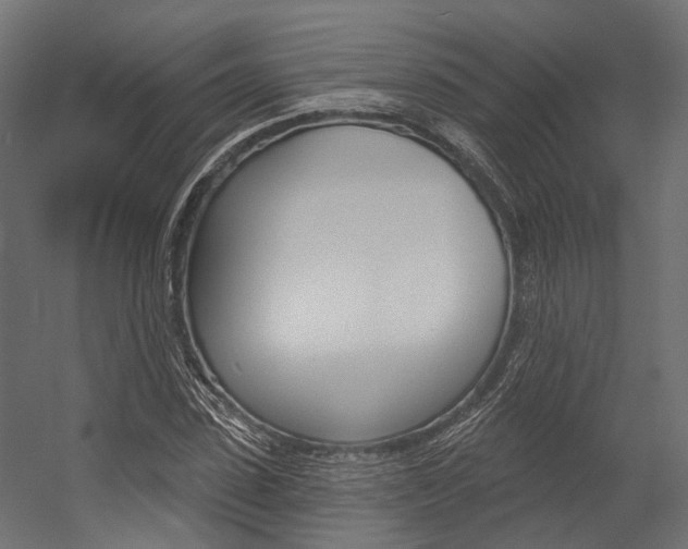 X0000054380923200507290853