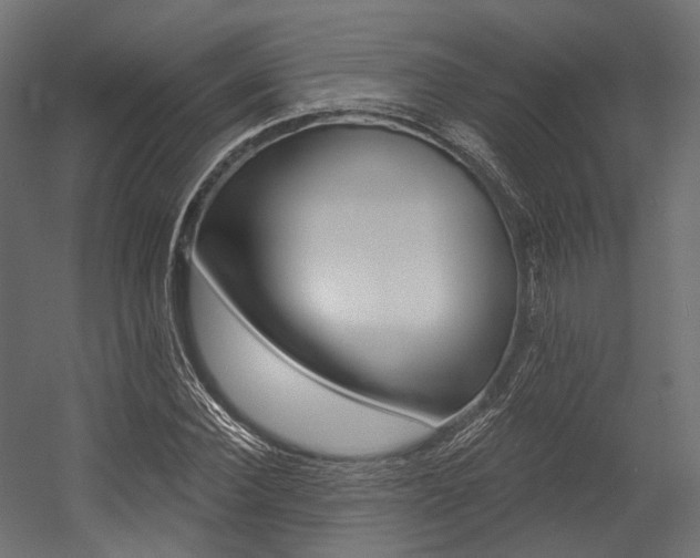 X0000054380924200507290853