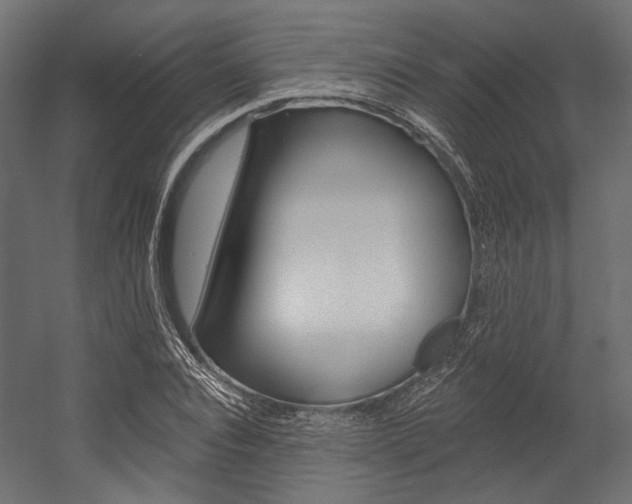 X0000054380928200507290853