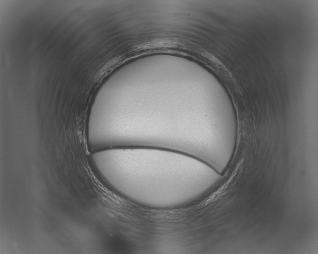 X0000054380929200507290853