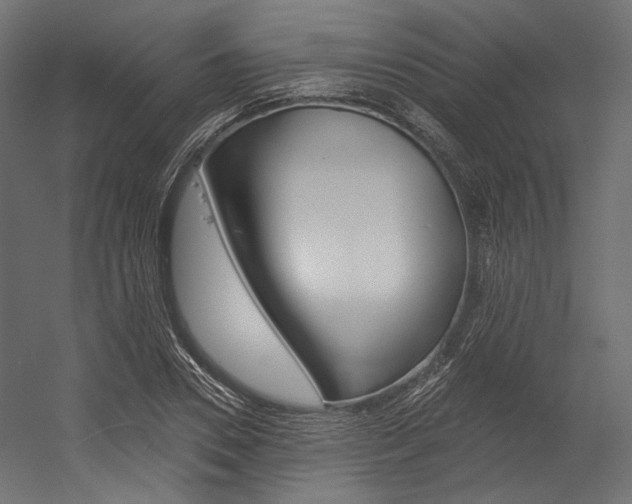 X0000054380930200507290853