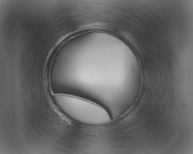 X0000054380931200507290853