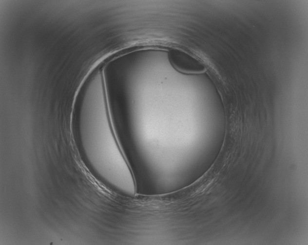 X0000054380932200507290853