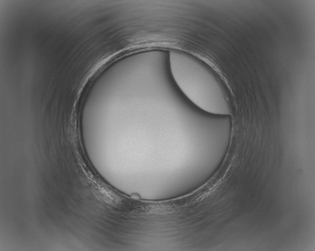 X0000054380933200507290853