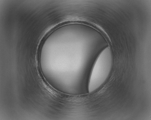 X0000054380935200507290853