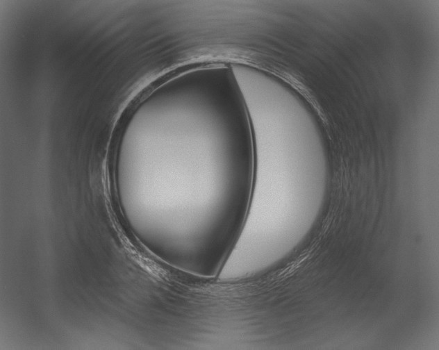 X0000054380936200507290853