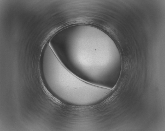 X0000054380938200507290853