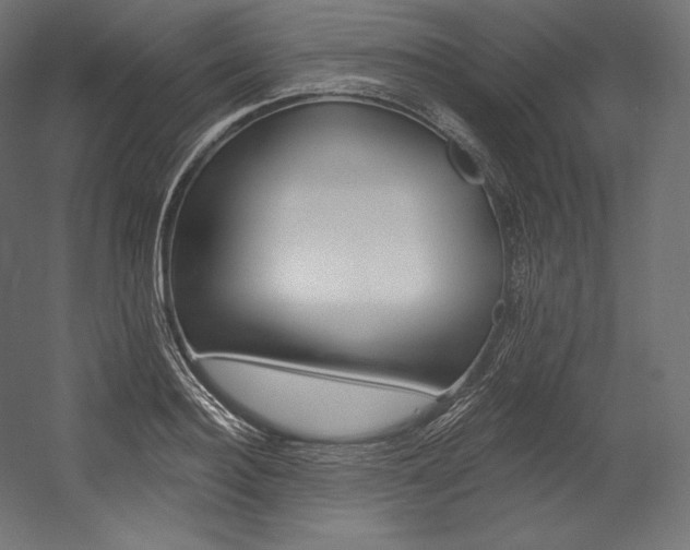 X0000054380940200507290853