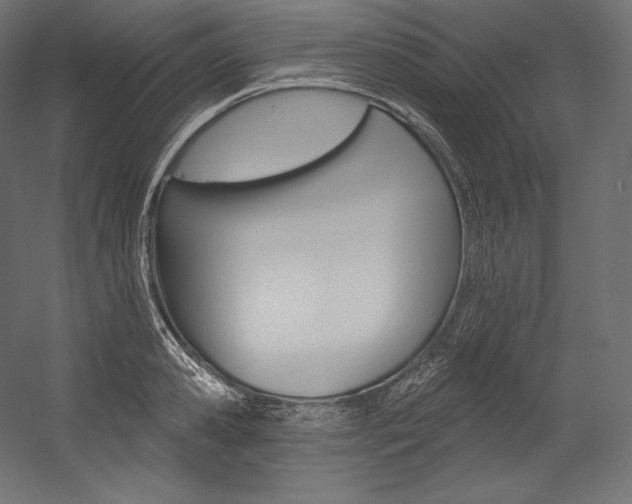 X0000054380941200507290853