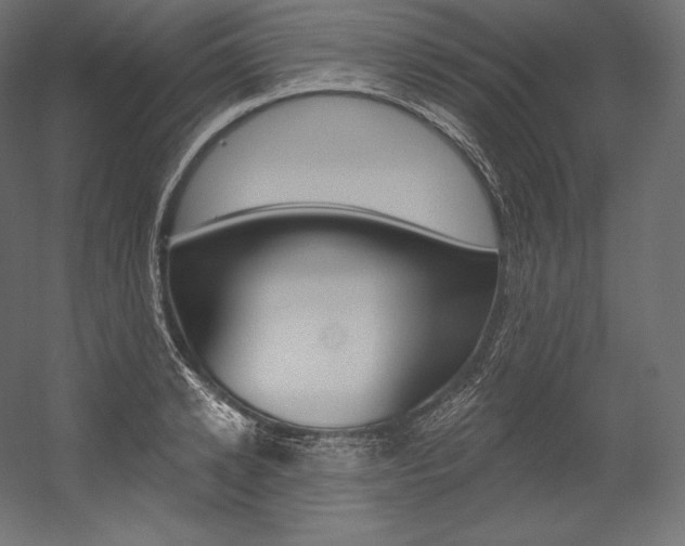 X0000054380942200507290853