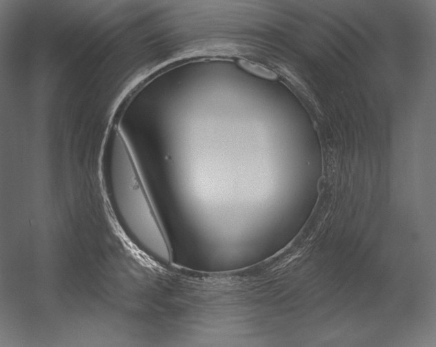 X0000054380944200507290853