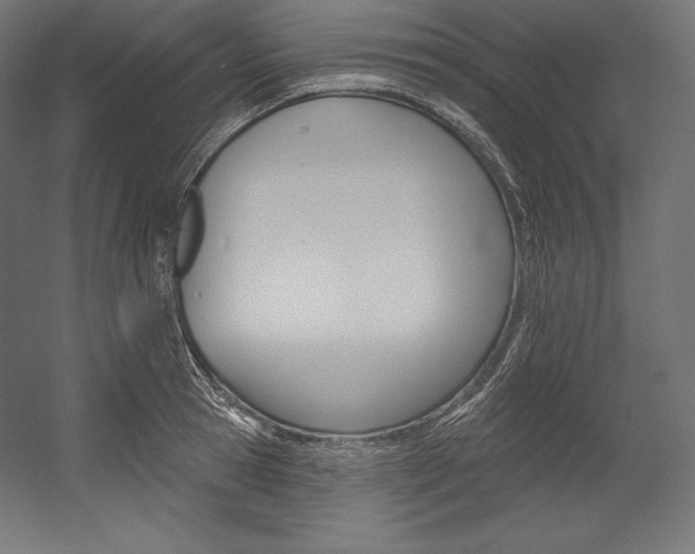X0000054380945200507290853
