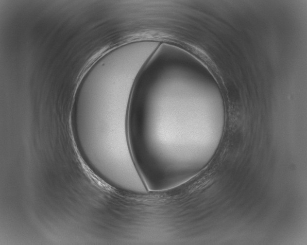 X0000054380946200507290853