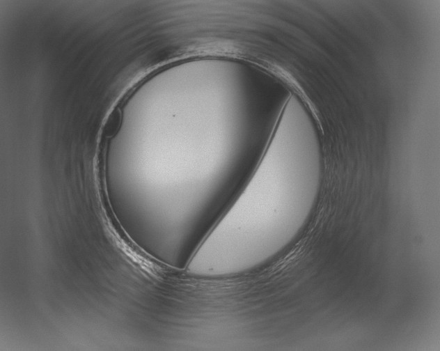 X0000054380947200507290853
