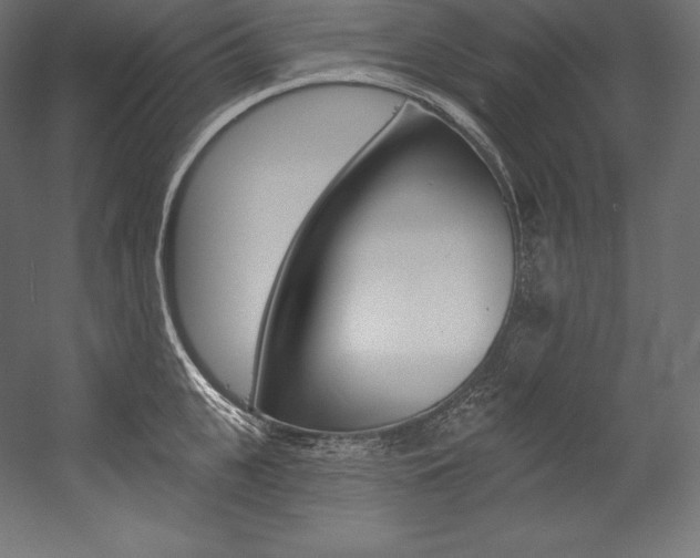X0000054380951200507290853