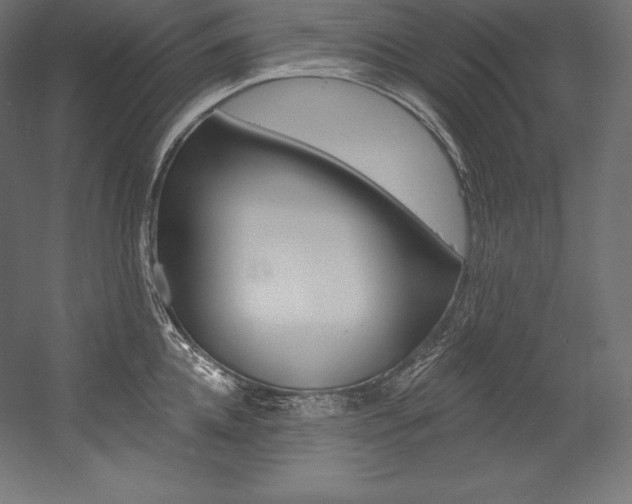 X0000054380952200507290853