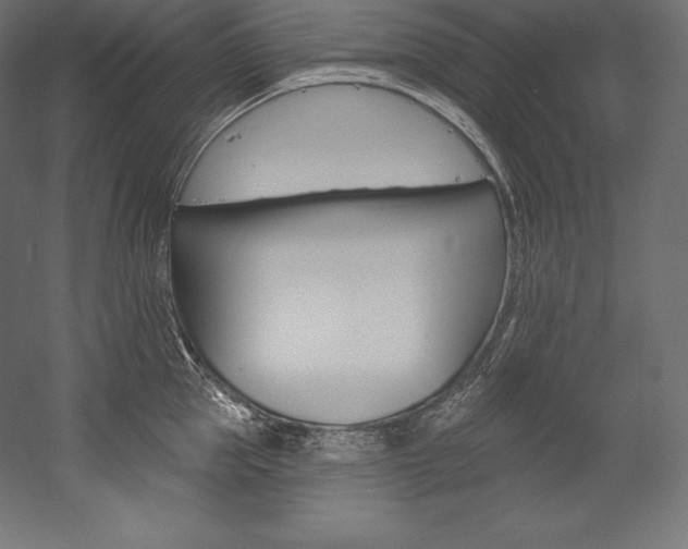 X0000054380953200507290853