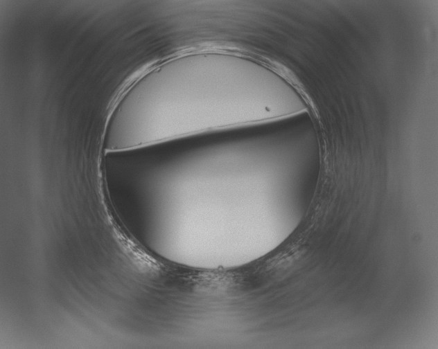 X0000054380954200507290853