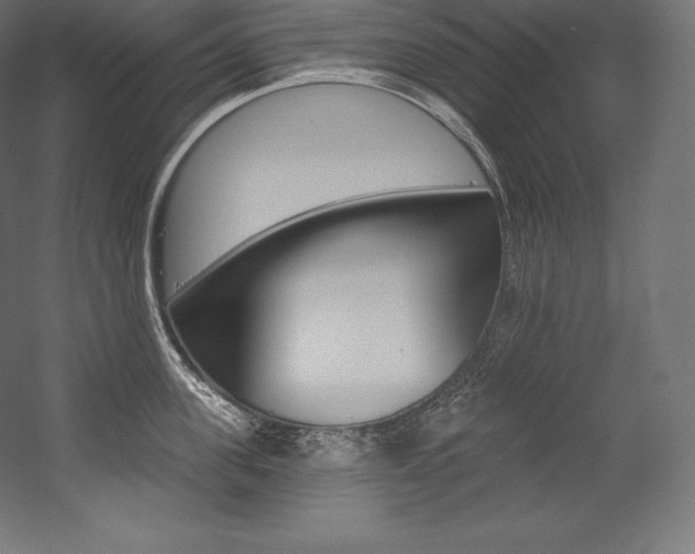 X0000054380955200507290853