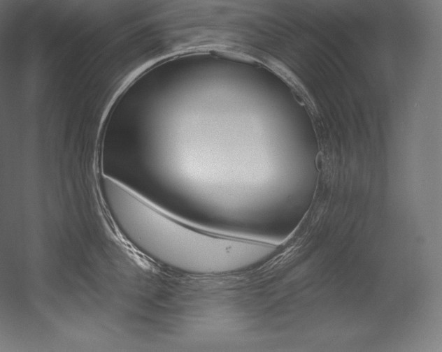 X0000054380956200507290853