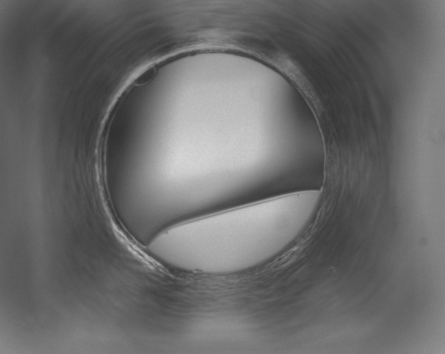X0000054380958200507290853